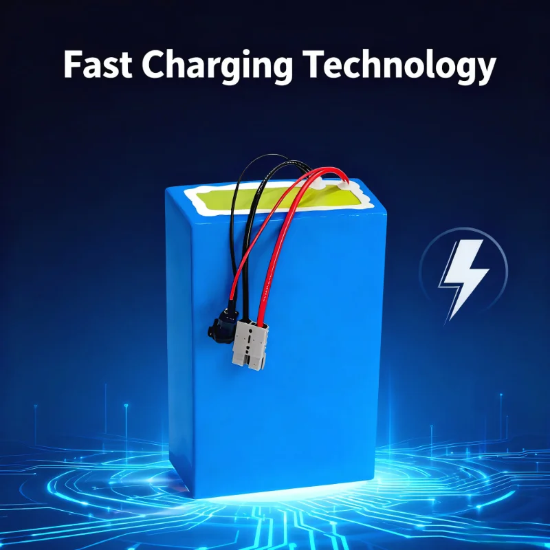 BMS 72V リチウムイオンバッテリーパック 20Ah/3 - 72V 40Ah Lifepo4 Battery Pack のレビューと価格