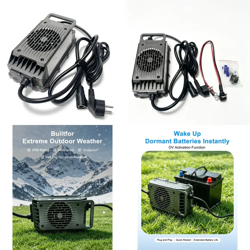 電動サーフボード充電器 Efoil LNLEE 50.4V  - 84V 20A Smart Charger のレビューと価格